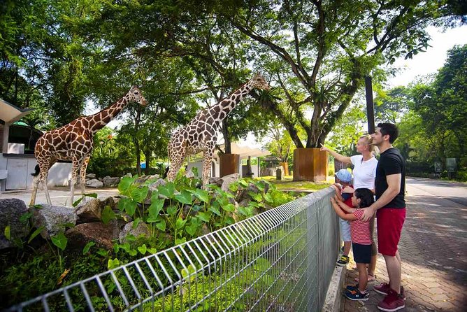 Malaysia Wildlife Exploration Tour 7 Days